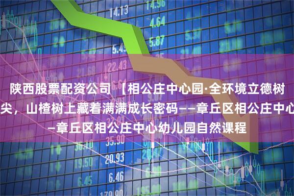 陕西股票配资公司 【相公庄中心园·全环境立德树人】 从枝头到舌尖，山楂树上藏着满满成长密码——章丘区相公庄中心幼儿园自然课程