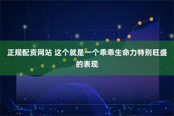 正规配资网站 这个就是一个乖乖生命力特别旺盛的表现