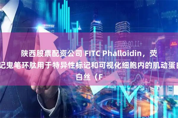 陕西股票配资公司 FITC Phalloidin，荧光素标记鬼笔环肽用于特异性标记和可视化细胞内的肌动蛋白丝（F