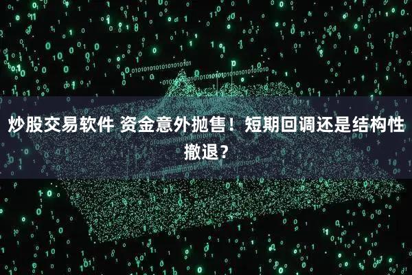 炒股交易软件 资金意外抛售！短期回调还是结构性撤退？