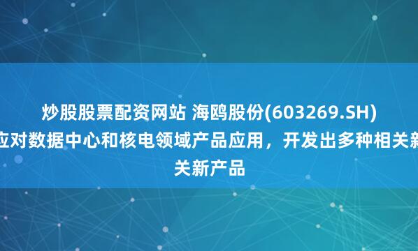 炒股股票配资网站 海鸥股份(603269.SH)：为应对数据中心和核电领域产品应用，开发出多种相关新产品